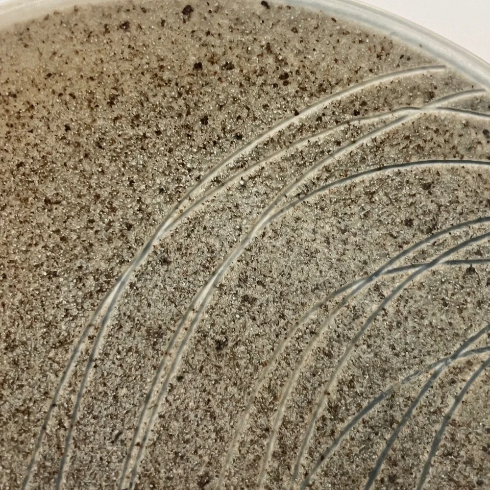 Signed Studio Pottery Shallow Bowl Handcrafted Floral Speckled Earthy Tones 9.5